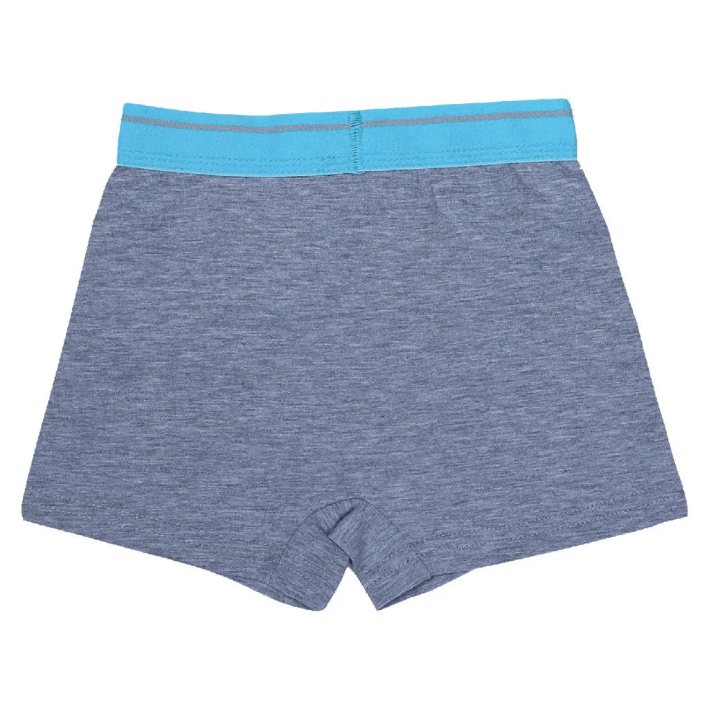 Boys boxers c.410 Gray and Blue