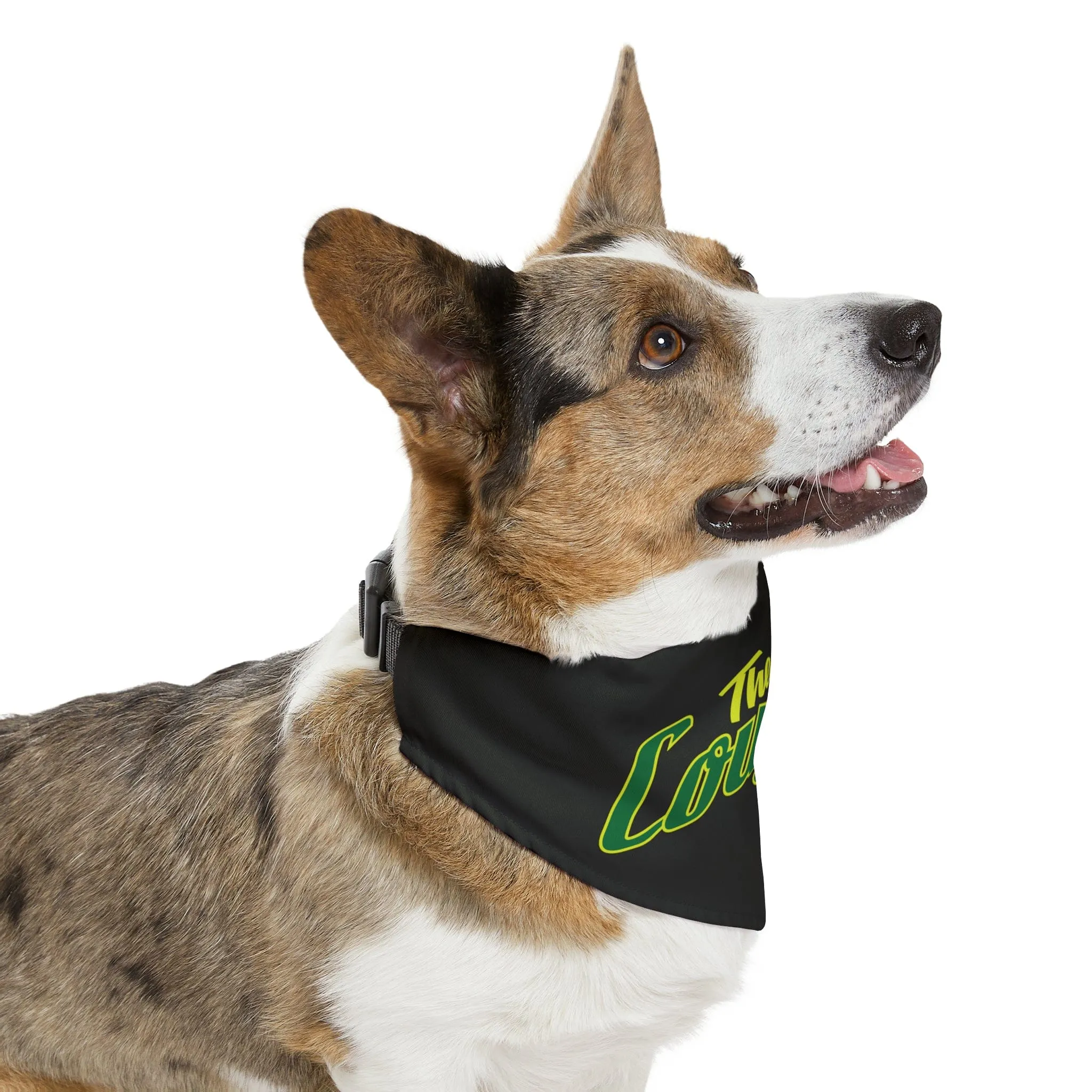 Pet Bandana Collar