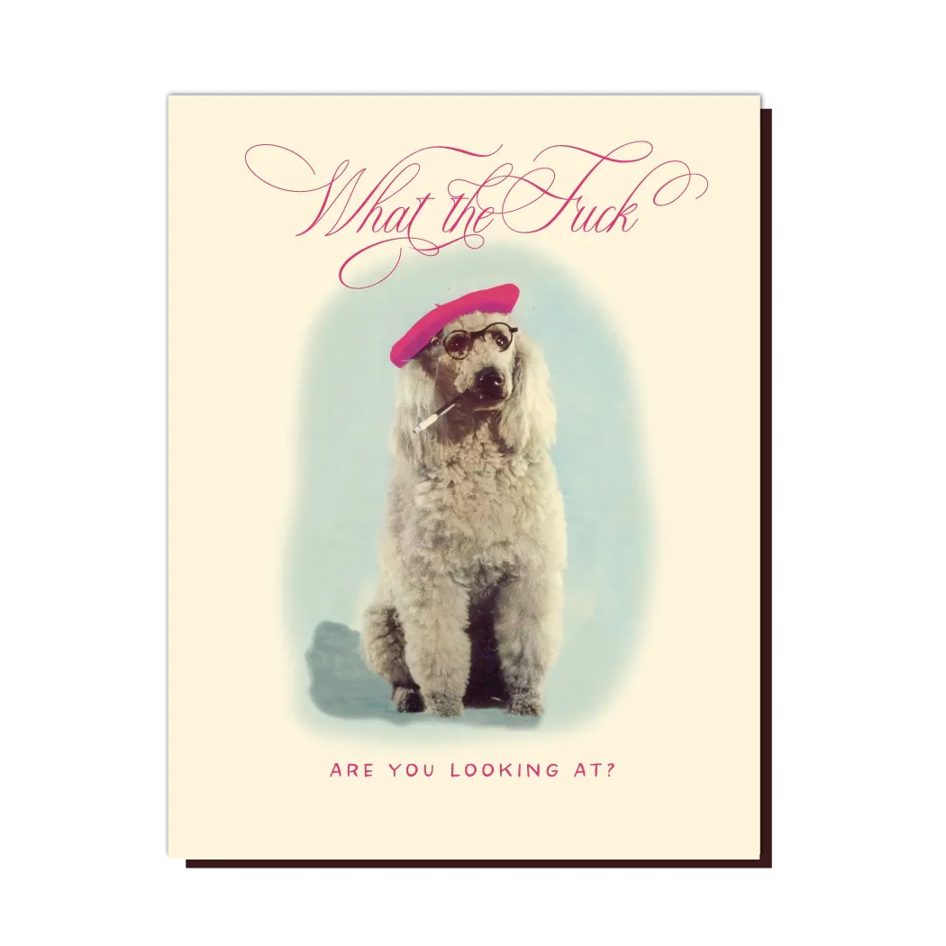  Poodle  Card