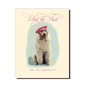  Poodle  Card